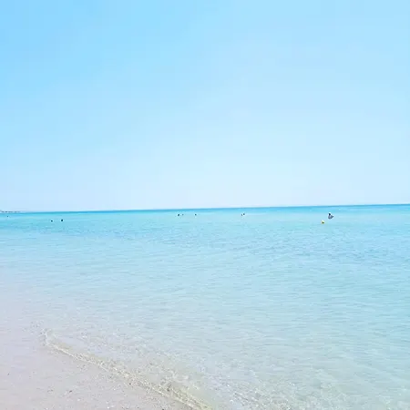 Carnations Apartament Nea Plagia