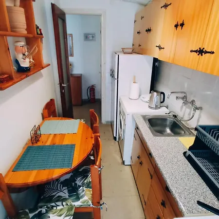 Carnations Apartment Nea Plagia