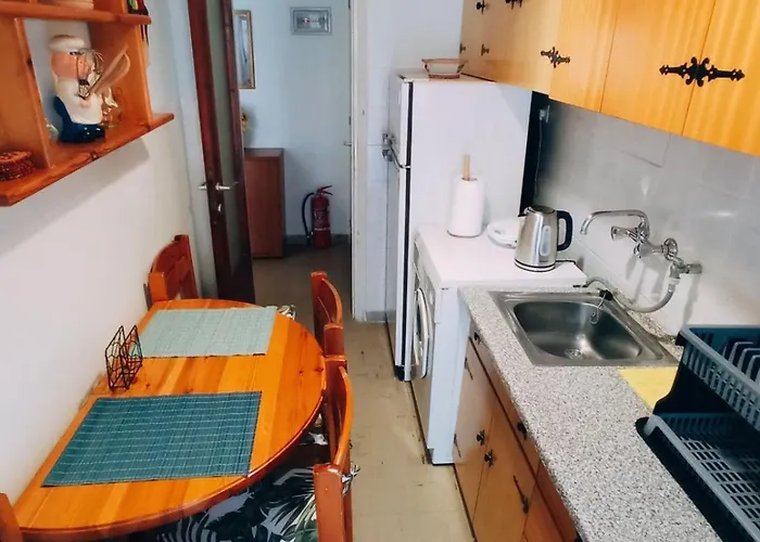 Carnations Apartment Nea Plagia